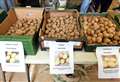 Popular Black Isle Tattie Day provides chance to grow your own potatoes